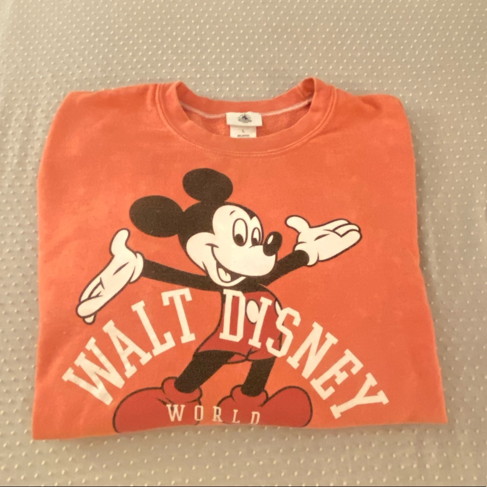 Disney world sweatshirt pink